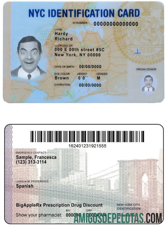 USA New York ID amostra